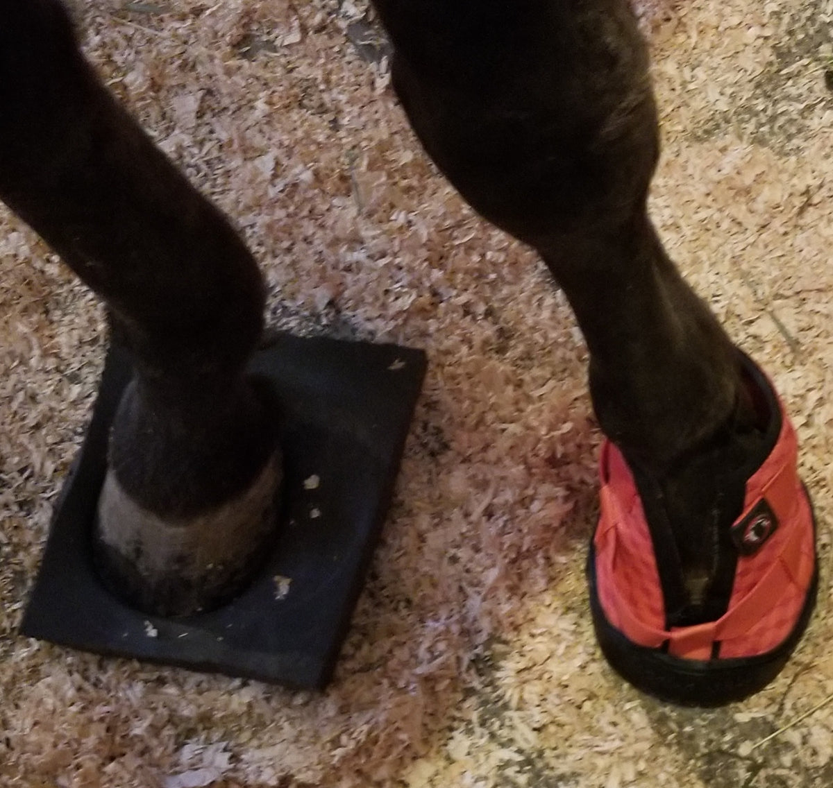 Hoof boots hotsell for humans