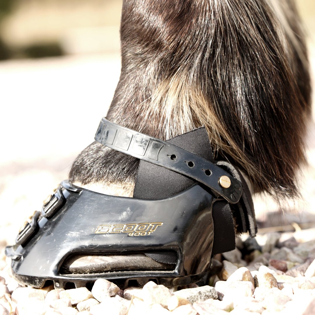 Scoot Boot Hybrid Gaiters – Timberline Tack + Scoot Boot Adventures!