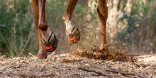 Scoot Boot Enduro - SINGLE