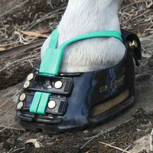 Scoot Boot Mud Straps - PAIR