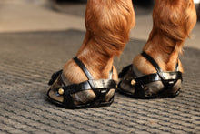 Scoot Boot Enduro - PAIR