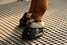 Scoot Boot Enduro - PAIR