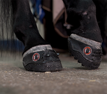 Equine Fusion 24/7 Jogging Shoe - SINGLE BOOT