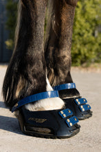 Scoot Boot Pastern Strap - SINGLE