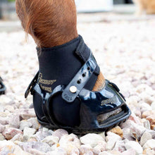 Scoot Boot Endurance Gaiter -  pair