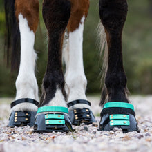 Scoot Boot Pastern Strap - SINGLE