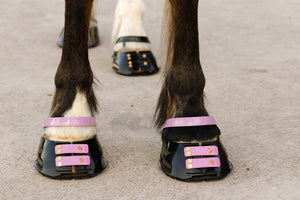 Scoot Boot Pastern Strap - SINGLE