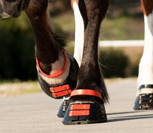 Scoot Boot Pastern Strap - SINGLE