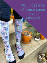 Dreamers & Schemers Boot Socks - Sit - Original Pair & A Spare
