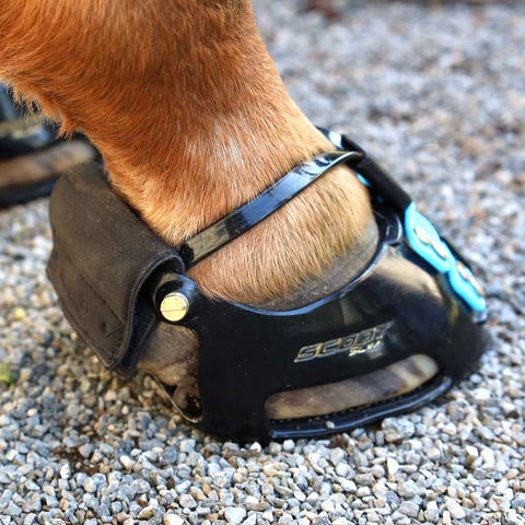Scoot Boot Gaiter Options