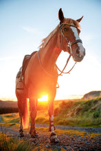 Equine Fusion Trailblazer - SINGLE