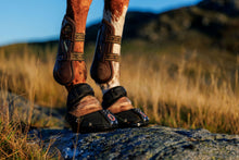 Equine Fusion Trailblazer - SINGLE