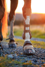 Equine Fusion Trailblazer - SINGLE