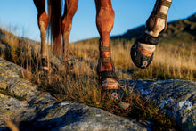 Equine Fusion Trailblazer - SINGLE