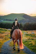 Equine Fusion Trailblazer - SINGLE