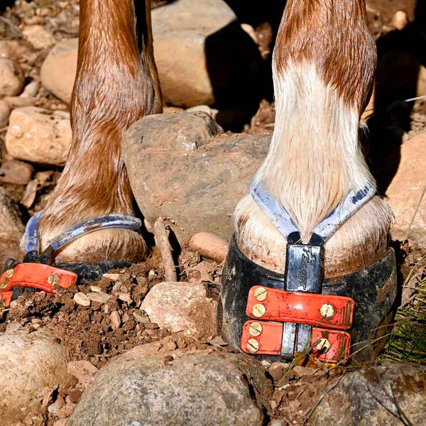 Scoot Boot Mud Straps PAIR Timberline Tack + Scoot Boot Adventures!