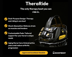 Scoot Boot TheraRide