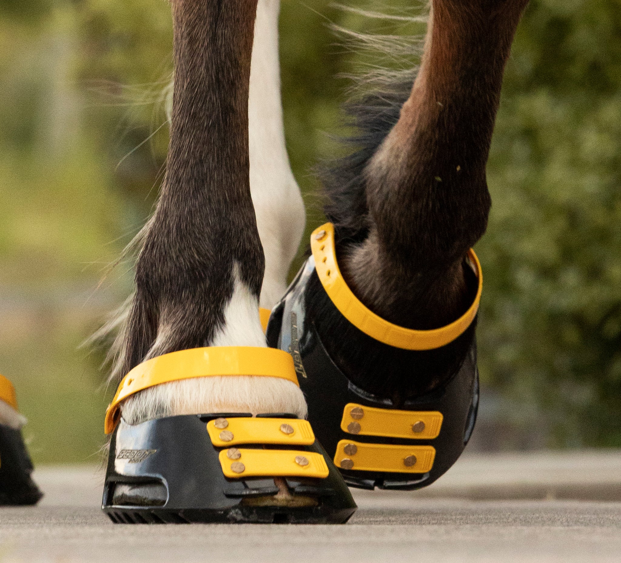 Bulb Strap Gaiter für Scoot Boot Adjust und TheraRide Bulb Strap Gaiter für Scoot Boot Adjust und TheraRide