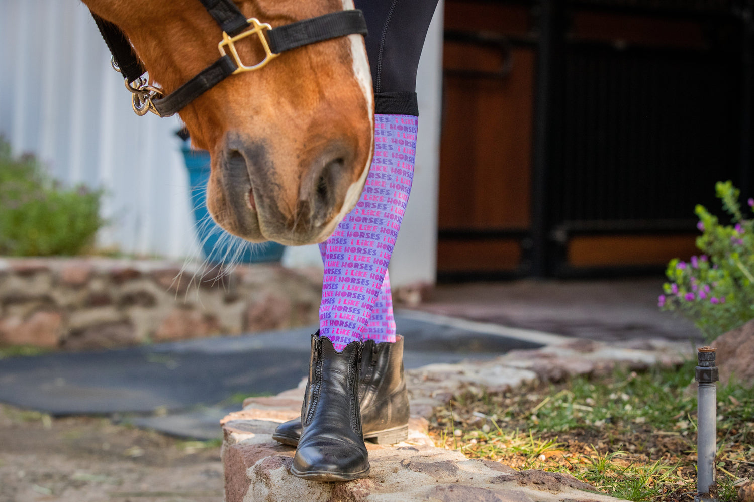 Tucker Tweed Equestrian Dreamers and Schemers Signature Boot Socks